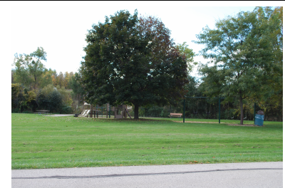 Ruby Park.png